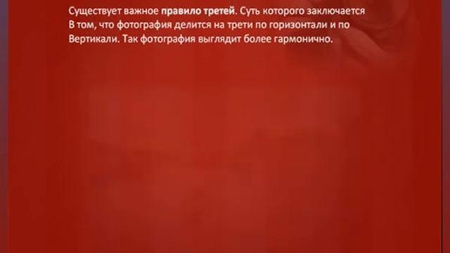 Успешная фотография смотреть онлайн