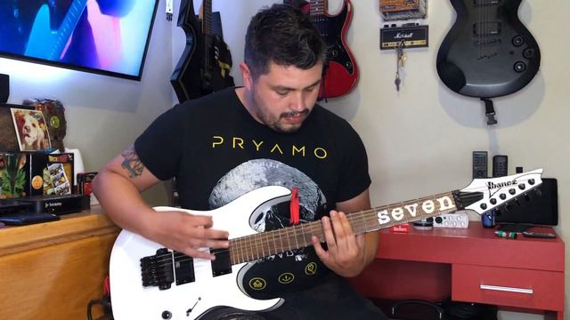 Slipknot - Nero Forte (Guitar Cover) MTM20