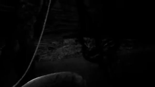 УЖАС, НА ДАЧЕ НЕТ ИНТЕРНЕТА смотреть онлайн