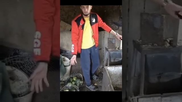 ДОВЕЛА ПАРНЯ ДО ИСТЕРИКИ? смотреть онлайн