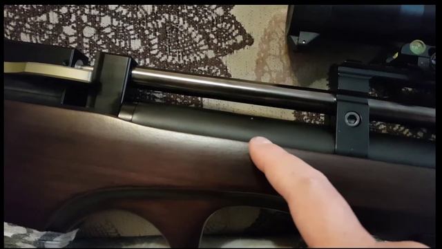 PCP Raptor 3   5.5 Cal.