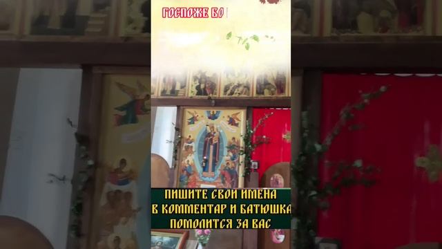 Мать Небесная всегда услышит и спасет! #молитва_Богородице #исцеление смотреть онлайн