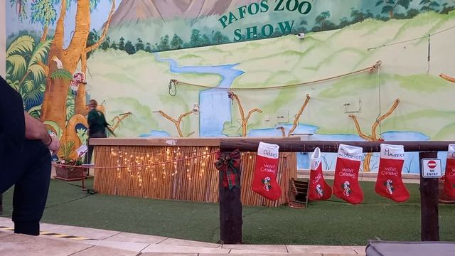 PAFOS ZOO SHOW LIVE - 02.01.2023г смотреть онлайн