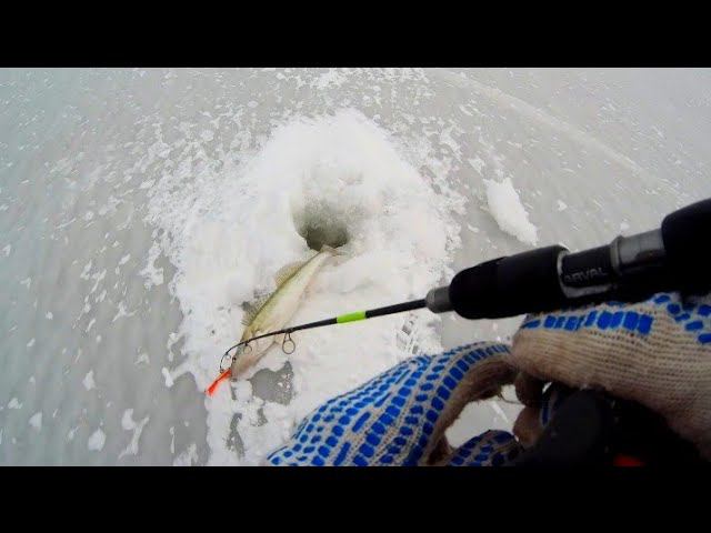 ПОЧЕМУ Я СРАЗУ ЕГО НЕ ОДЕЛ?!!! РЫБАЛКА ЗИМОЙ НА СУДАКА! смотреть онлайн