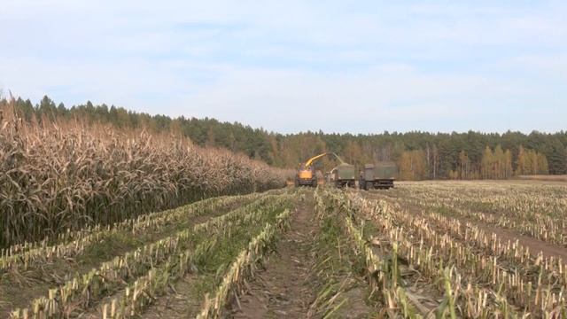 Как сработала в 2021-м отрасль сельского хозяйства смотреть онлайн