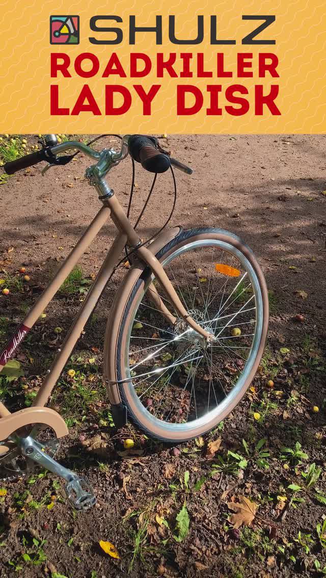 Городской велосипед Shulz Roadkiller Lady Disk (2023) | Женская рама, планетарка и дисковые тормоза смотреть онлайн