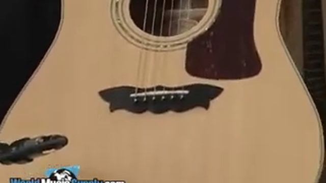 Washburn Acoustic Guitar D84SW Demo смотреть онлайн
