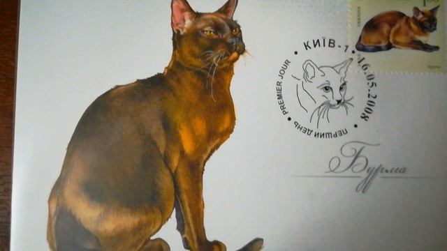 Бурманская кошка (Бурма) смотреть онлайн