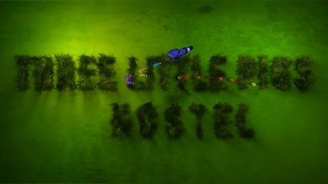 Three little pigs - green hostel смотреть онлайн