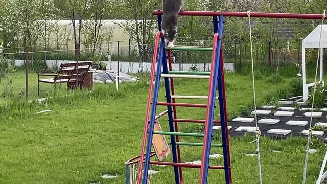 Примеряем палубные доски к террасе смотреть онлайн