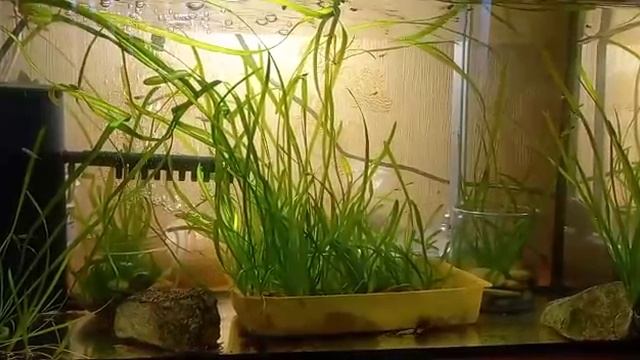 Без названия смотреть онлайн