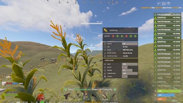 1.000.000 СЕРЫ! Рейд Дома Соседей на 250.000 СЕРЫ В Rust/Раст смотреть онлайн