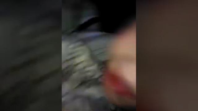 Мы вместе с братом не спим смотреть онлайн
