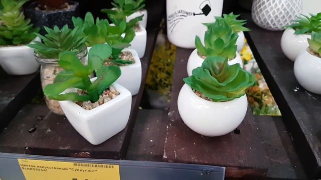 Суккуленты из силикона. Букетики для подарков и создания уюта в "Посуда центре" города Новосибирск. смотреть онлайн