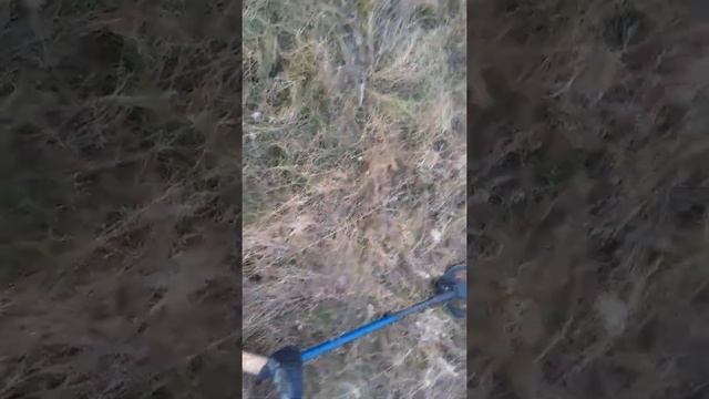 Фищер ф 75 тест на глубину.