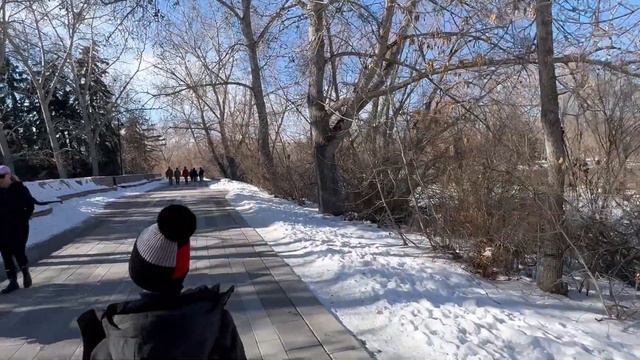 Два года назад мы уехали из дома. История неплановой иммиграции в Канаду. Жизнь в Калгари 2024. смотреть онлайн