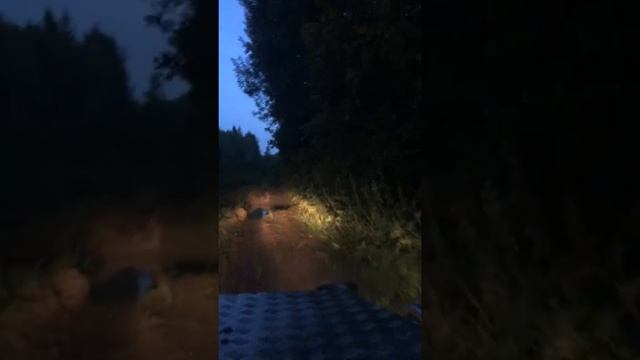 Катаемся на багги?? смотреть онлайн