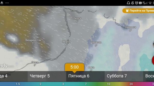 прогноз погоды 3-8 сентября 2024 от windy.com