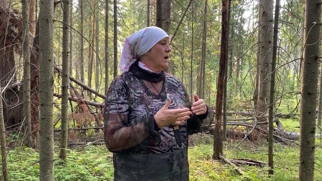 Образовательное видео по ботанике. Часть 1 смотреть онлайн