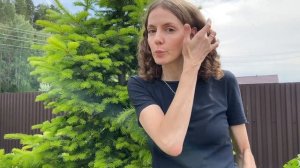 Обрезка пихты. Показываю процесс и результат после прошлых обрезок