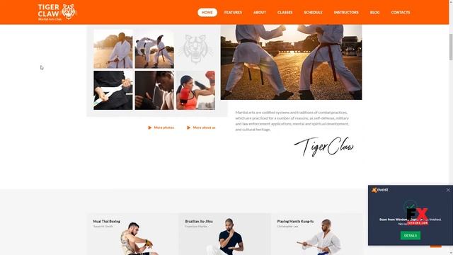 Tiger Claw Martial Arts School and Fitness Center WordPress Theme смотреть онлайн