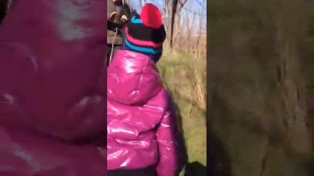 Стефан Мёрфи б смотреть онлайн