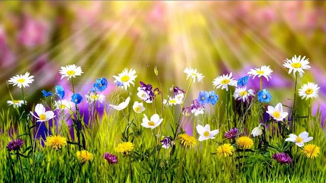 Приятная короткая музыка без слов для отдыха и релаксации смотреть онлайн