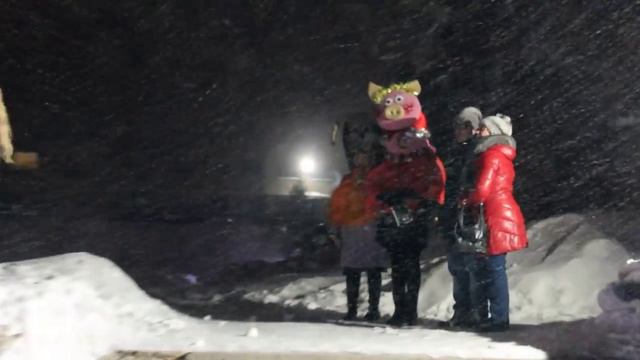 Змеиногорская городская елка смотреть онлайн