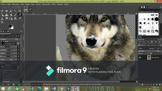 Video Gimp смотреть онлайн