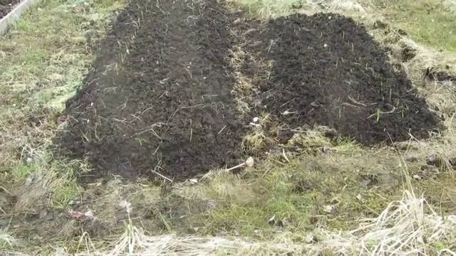 Наша дача - апрель 2020 г. Расположение грядок и севооборот. смотреть онлайн