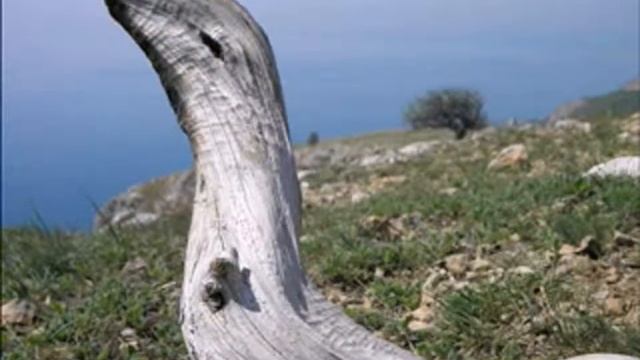 Природа Крыма Ласпи-Мангуп смотреть онлайн