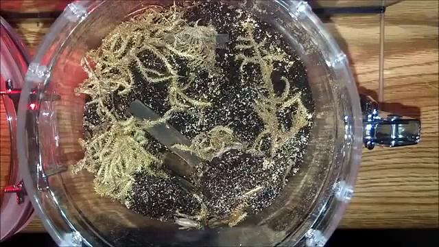 Вдруг откуда не ввозмись смотреть онлайн