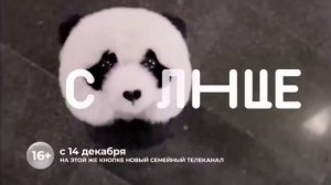 Канал Disney ушел из России, (13 14 12 2022) 00:00 МСК