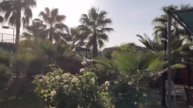 Клаб Сиде Кост Полный Обзор Отеля/ Club Side Coast / отели 5 звёзд Турция смотреть онлайн