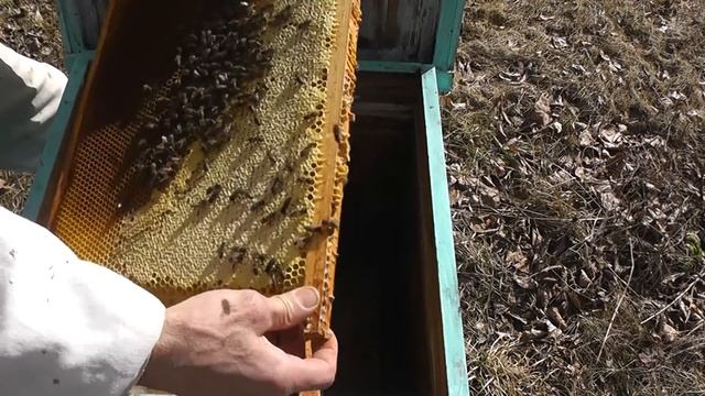 вторая работа в методе Блинова смотреть онлайн