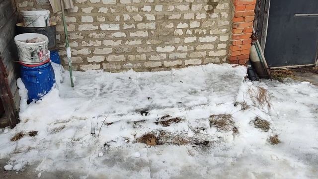 Как задержать цветение ЯБЛОНЬ!! смотреть онлайн