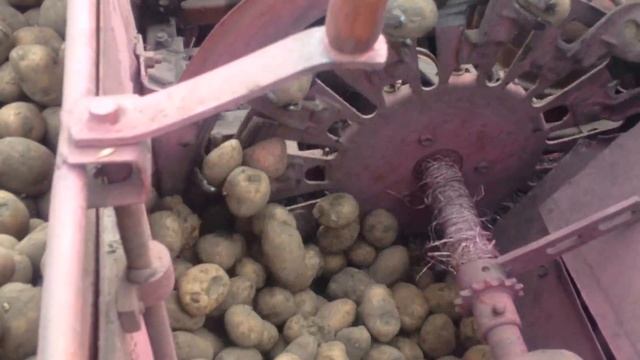 Посадка картофеля трактором мтз 80 смотреть онлайн