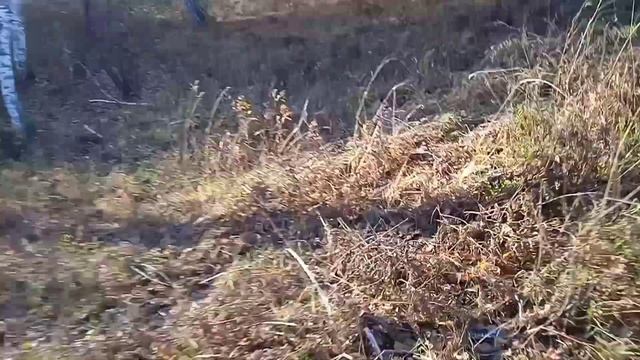 закрытие сезона. Рейсер турист 150 и Рейсер пантера смотреть онлайн