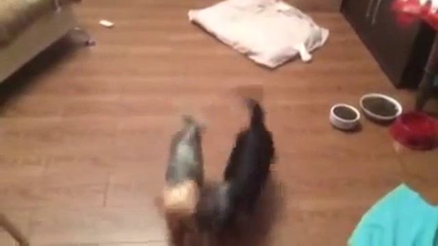 МЫ С ТАМАРОЙ ХОДИМ ПАРОЙ смотреть онлайн