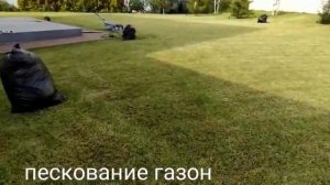 пескование газон 2020 г.
