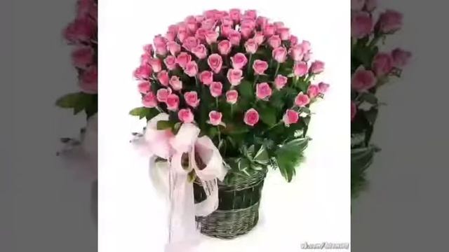 Цветочный рай. смотреть онлайн