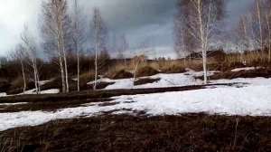 охота на кабана с мелкашкой. Тоз-8.