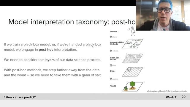 344 Shap values W6b смотреть онлайн