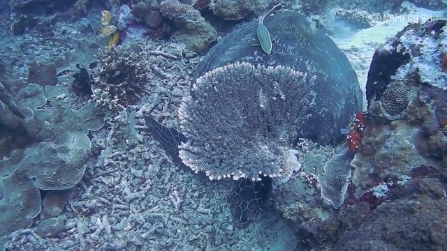 Как победить бедность знакам Воды: Топ 5 лучших способов смотреть онлайн