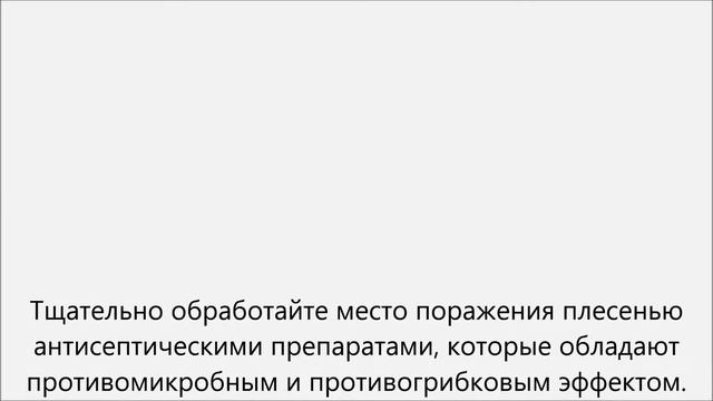 Как избавиться от плесени на стенах смотреть онлайн