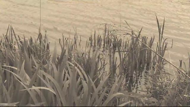 Die Hansestadt Hamburg alter Fim смотреть онлайн