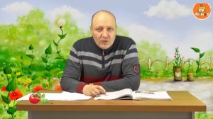 СЕРАЯ ГНИЛЬ И СПОСОБЫ БОРЬБЫ С НЕЙ