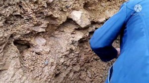 Вольные старатели! Добыча золота! Сибирские ФАВЕЛЫ, роскошь и нищета!