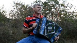 Федор Воробьев - Кубанский гармонист