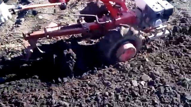 Вспашка земли мотоблоком Беларус (часть 2) смотреть онлайн